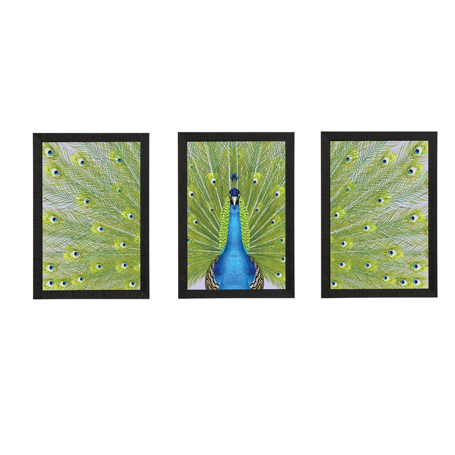 Set Of 3 Peacock Satin Matt Texture UV Art Painting