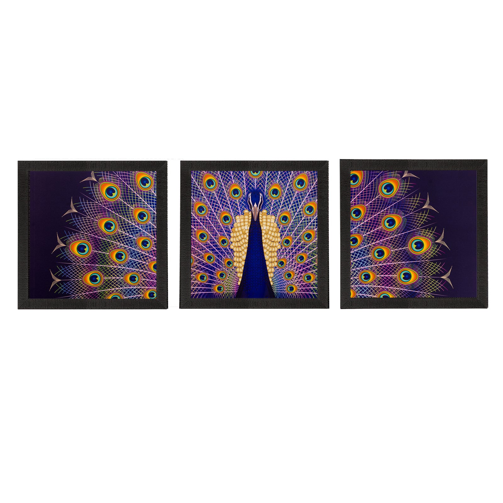 Set of 3 Peacock Feather Matt Textured UV Art Painting